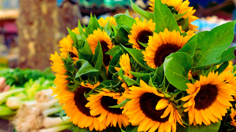 Farmers Market